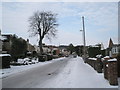 Looking northwards up a snowy Court Lane