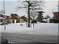 East Court in the January snow