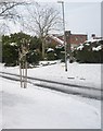 Lamppost in East Cosham Road