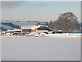 Snowy pastures near High Scotch Hall (2)