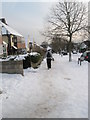 Looking down a snowy Penrhyn Avenue