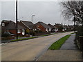 Chalet bungalows in Windmill Drive