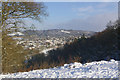 Towards Reigate Hill