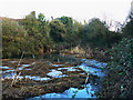 Pond, Cheney Manor Trading Estate, Swindon (5)