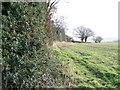 Footpath, Stanton Wick