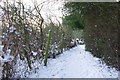 Footpath off Chamberlain Lane