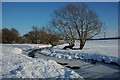 A wintery Bow Brook, Defford