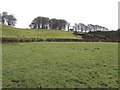 Aghnanereagh Townland