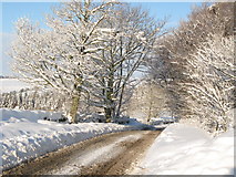 NY8453 : The minor road between Allendale and Sinderhope in the snow by Mike Quinn