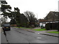 Looking eastwards along Woodlands Avenue