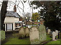 Rustington Churchyard (9)