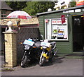 An Unlikely Combination - a Macaw, a Pig and Two Motor Bikes