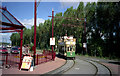 Tram at Seaton