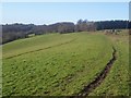 The North Downs Way near Deepdale Wood