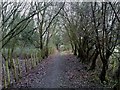 Itchen Way heading SW towards railway line