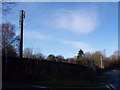 Mobile Phone Mast on the B2024 Croydon Road