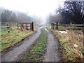 Track to the Washlands, from Park Lodge Lane