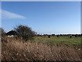 Site of RAF Pevensey Chain Home Radar Station