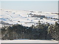 Snowy East Allen Dale west of Studdon Park (2)