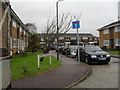 Looking from Seafield Road into Ashton Gardens