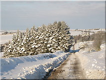 NY8453 : The minor road between Allendale and Sinderhope in the snow by Mike Quinn