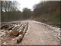 Logs by the Macmillan Way, King