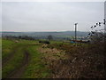 On a footpath through farmland