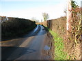 View along Bank Road, a Roman road