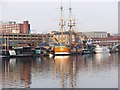 HMS Bark Endeavour