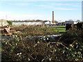 View across the Sussex Mushroom Ltd complex