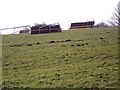 National Hunt practice fences near Ubley