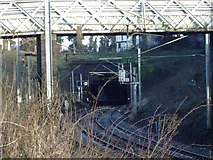 SP0590 : Footbridge and Tunnel entrance, Handsworth Wood by Michael Westley