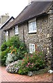 Cottage garden in Old Portslade