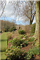 Herbaceous border at Coton Manor Garden (2)