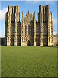 ST5545 : Wells Cathedral by Philip Halling