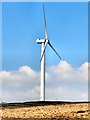 SD8317 : Knowl Moor, Wind Turbine by David Dixon