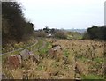 Cufflins Pit Lane, Mountsorrel