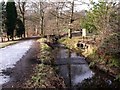 Canal Feeder, Colzium Estate