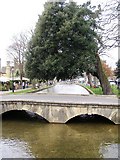 SP1620 : River Windrush, Bourton-on-The Water by David Dixon