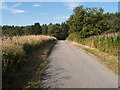 Lane at Broomley Fell