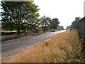 Broomley Village from the West End