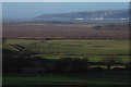 View over the Cors Fochno