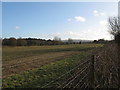 Arable land opposite Lickfold Farm