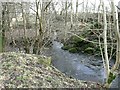 Shawend Burn at Townhead Farm