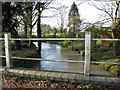 East Stour River from Flood Street