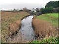 Creek at Frenchman