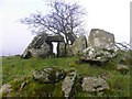 Chambered grave, Beltany (4)