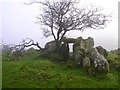 Chambered grave, Beltany (7)