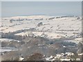 Snowy East Allen Dale around Thornley Gate