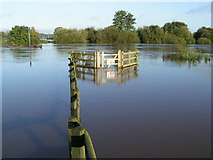 SO8425 : Flooding at the Red Lion by andy dolman